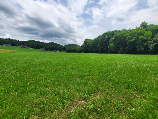 0 Plunkett Creek Rd, Gordonsville, TN 38563 - photo 6