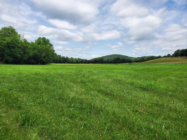 0 Plunkett Creek Rd, Gordonsville, TN 38563 - photo 1