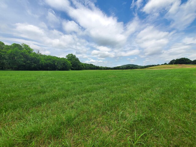 0 Plunkett Creek Rd, Gordonsville, TN 38563 - photo 3