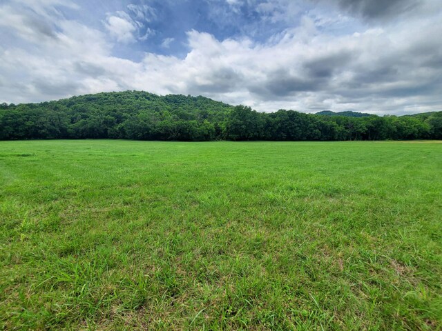 0 Plunkett Creek Rd, Gordonsville, TN 38563 - photo 5