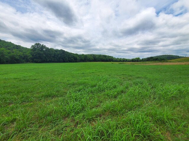 0 Plunkett Creek Rd, Gordonsville, TN 38563 - photo 4