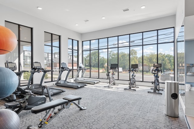 workout area with carpet flooring and plenty of natural light