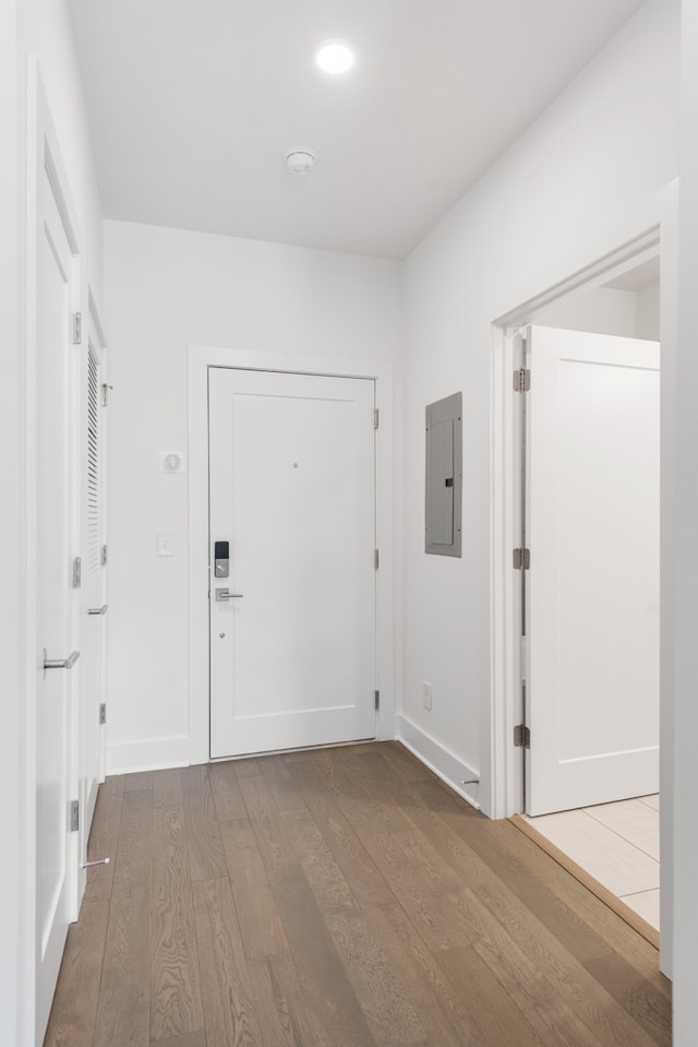 hallway with electric panel and dark hardwood / wood-style floors