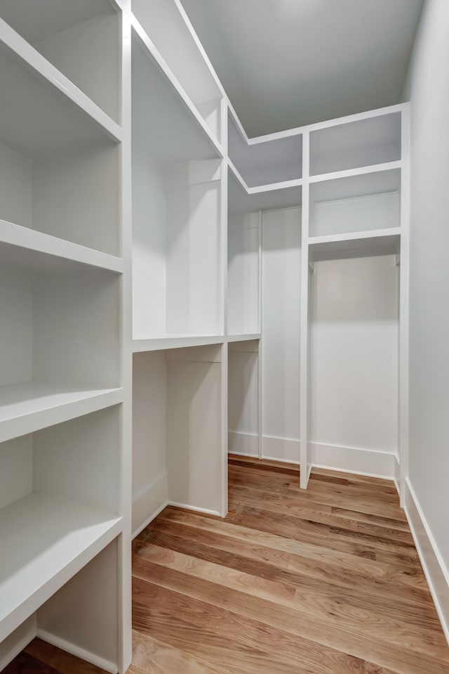 walk in closet with wood-type flooring