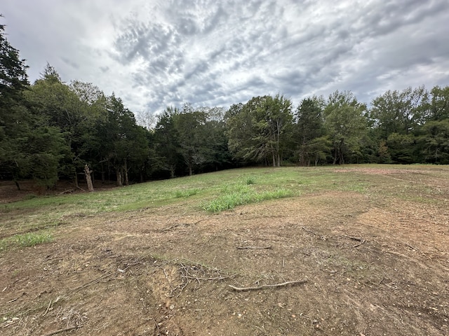 view of local wilderness