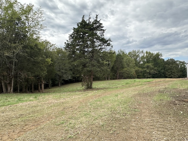 view of landscape