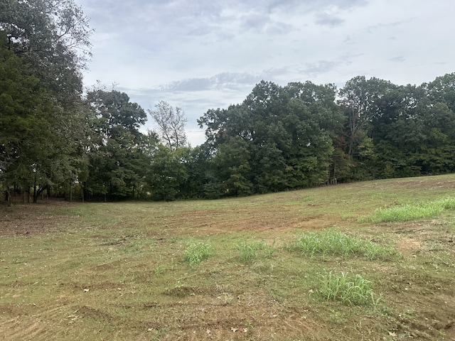 view of local wilderness