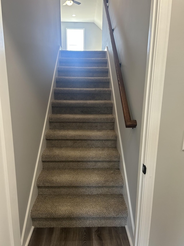 staircase featuring ceiling fan and wood-type flooring