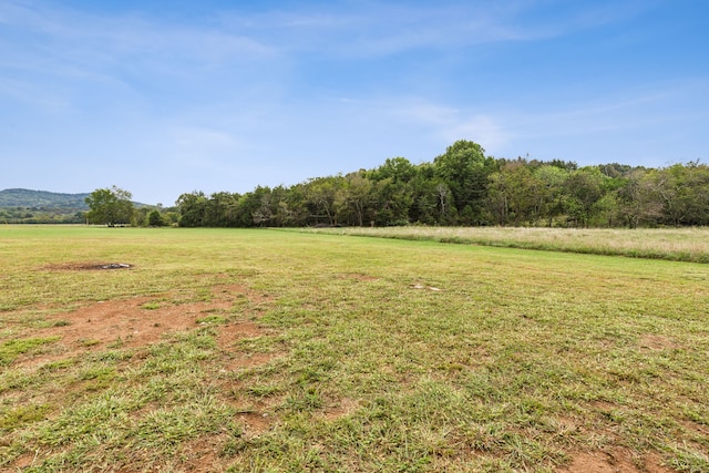 view of yard featuring a rural view