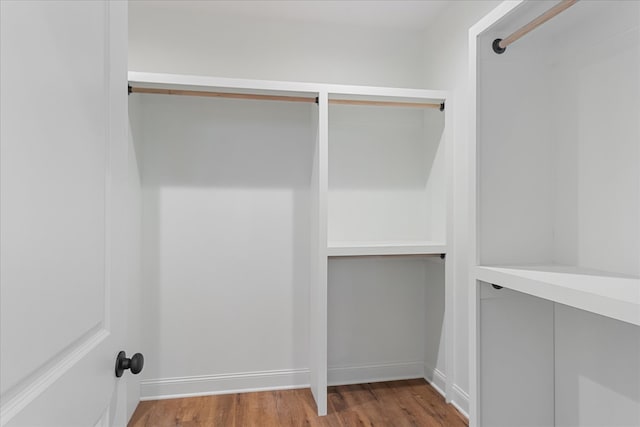 spacious closet with wood-type flooring