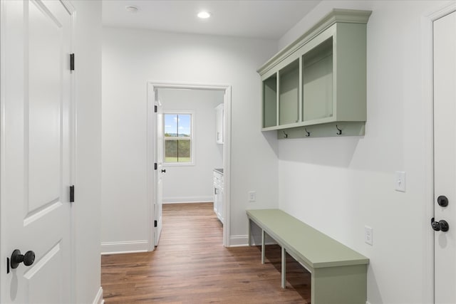 mudroom with dark wood-type flooring