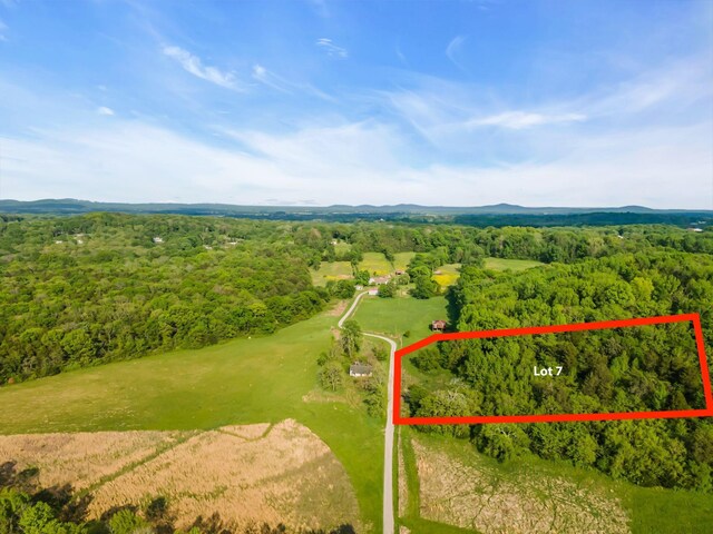 8930 Horton Hwy, College Grove TN, 37046 land for sale