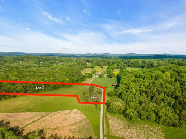 8930 Horton Hwy, College Grove TN, 37046 land for sale