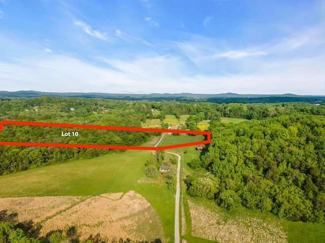 8930 Horton Hwy, College Grove TN, 37046 land for sale