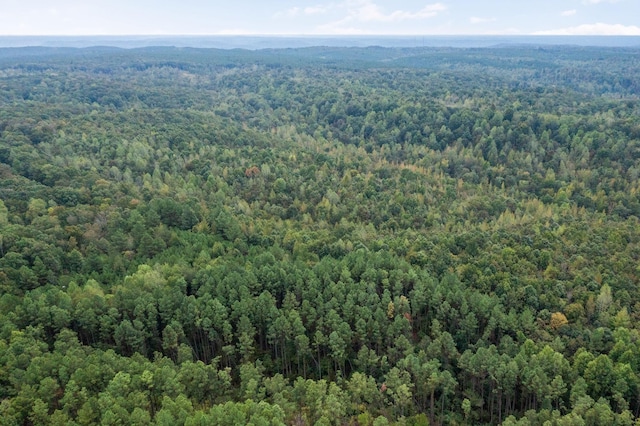 1 Peachwood Ln, Holladay, TN 38341