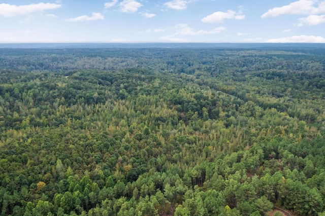 1 Peachwood Ln, Holladay, TN 38341
