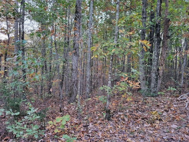 1 Peachwood Ln, Holladay, TN 38341