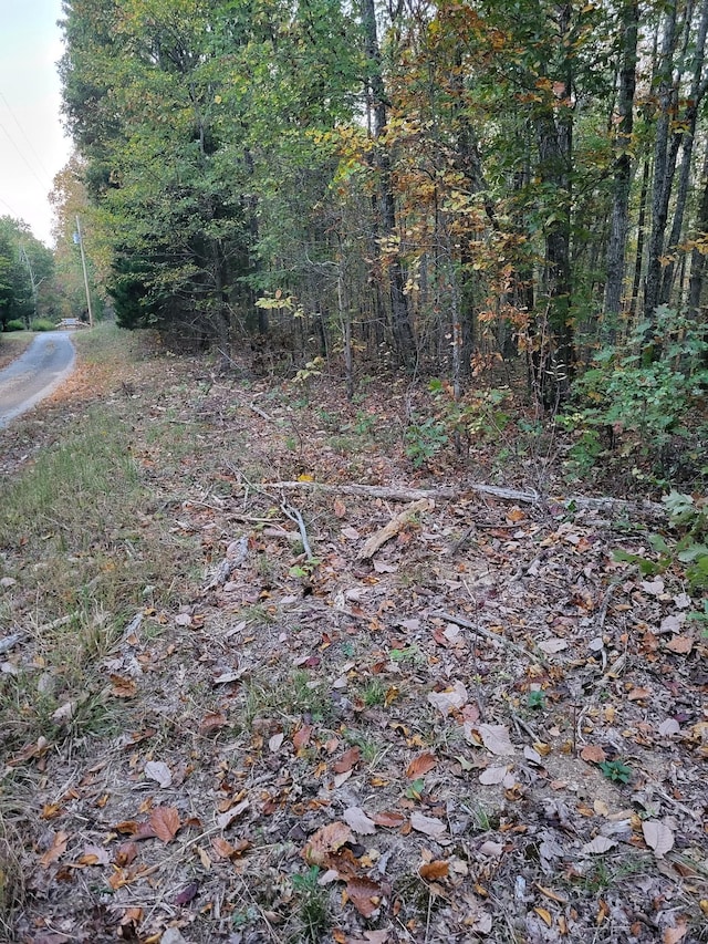 1 Peachwood Ln, Holladay, TN 38341