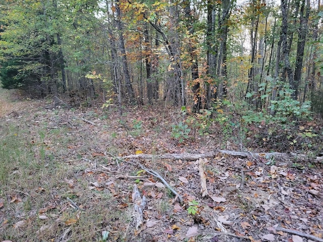 1 Peachwood Ln, Holladay, TN 38341