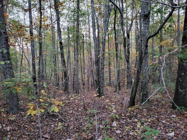 1 Peachwood Ln, Holladay, TN 38341