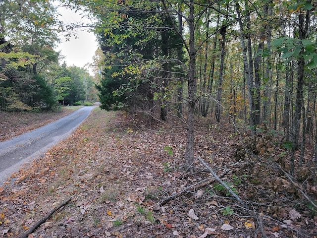 1 Peachwood Ln, Holladay, TN 38341