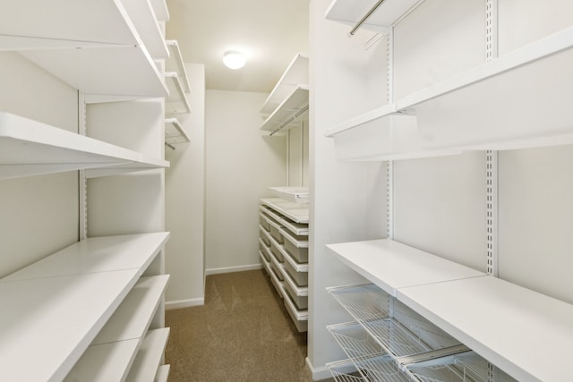 spacious closet with dark carpet