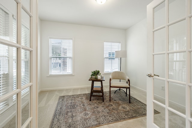 living area featuring carpet and a wealth of natural light