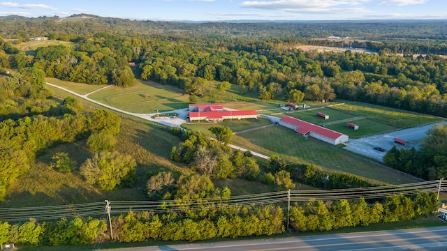 bird's eye view