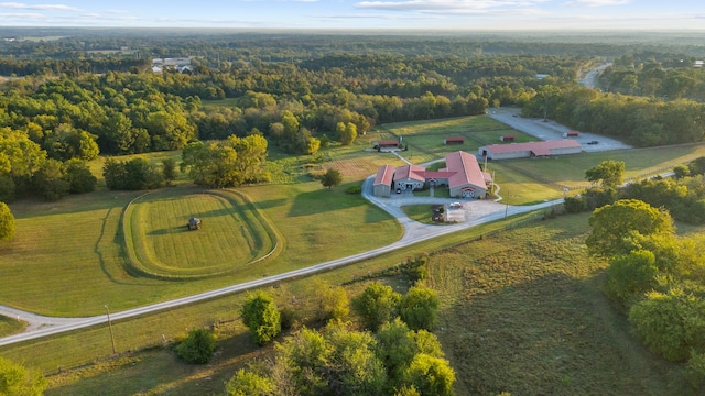 bird's eye view