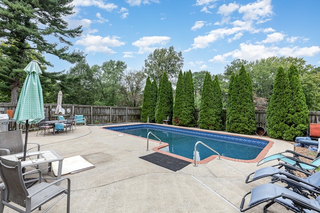 view of pool with a patio