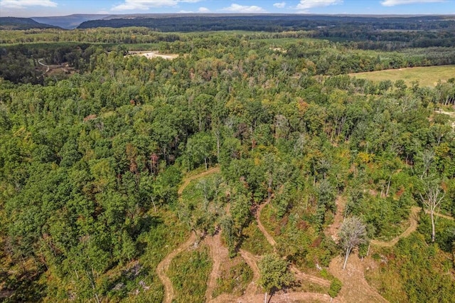 bird's eye view with a mountain view