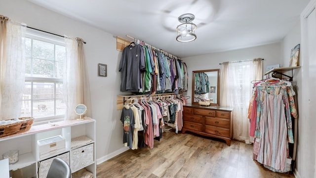 spacious closet featuring light hardwood / wood-style flooring