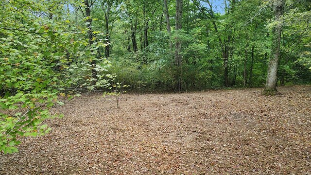 0 Bloom Landing Rd, Charlotte, TN 37036