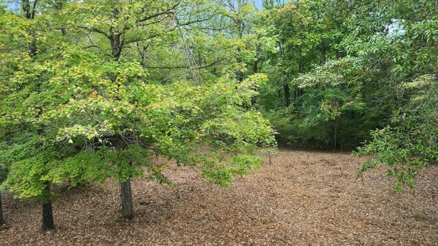 0 Bloom Landing Rd, Charlotte, TN 37036