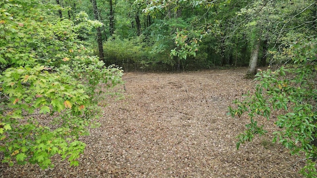 0 Bloom Landing Rd, Charlotte, TN 37036