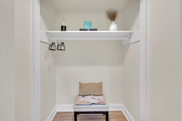 interior space with wood-type flooring