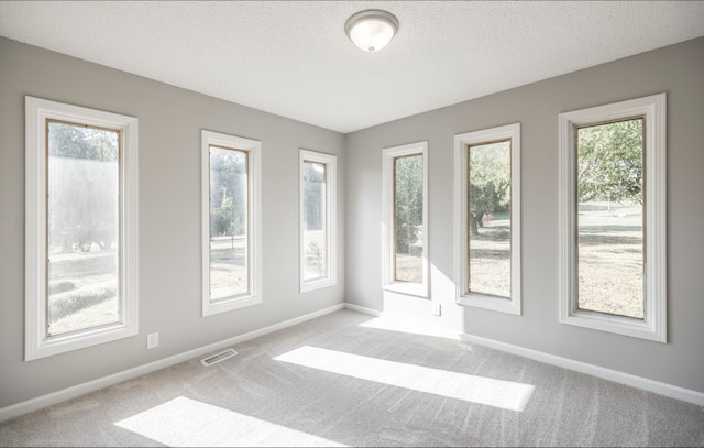 carpeted empty room featuring a textured ceiling and a wealth of natural light