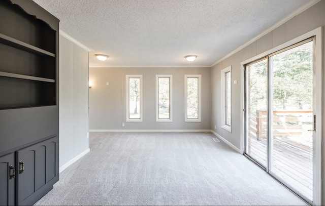 interior space with a wealth of natural light, a textured ceiling, and crown molding