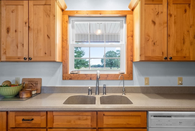 kitchen featuring white dishwasher and sink