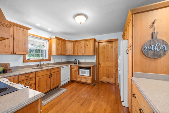 kitchen featuring light hardwood / wood-style flooring, white appliances, and sink