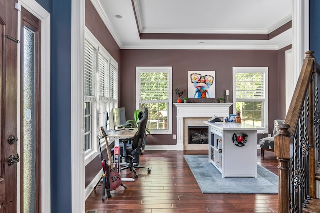 office featuring a fireplace, crown molding, and dark wood-type flooring