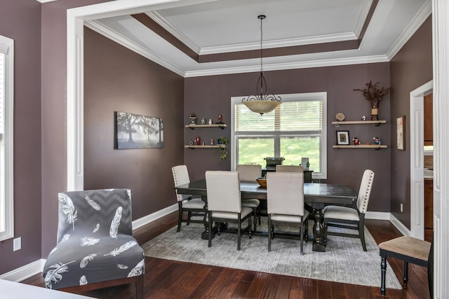 dining space with ornamental molding, a raised ceiling, and dark wood-type flooring