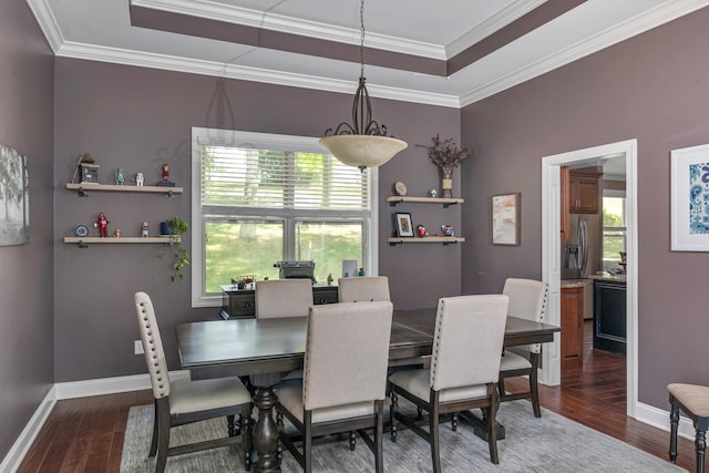 dining area featuring ornamental molding, a raised ceiling, and dark wood-type flooring