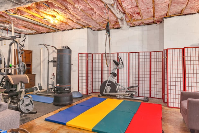 exercise area with concrete flooring