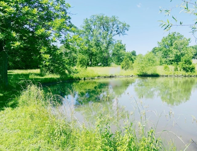 property view of water