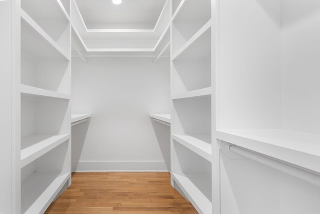 walk in closet featuring light hardwood / wood-style flooring