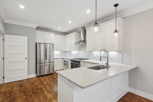 kitchen featuring white cabinets, sink, dark wood-type flooring, wall chimney range hood, and appliances with stainless steel finishes