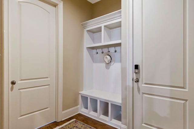 mudroom featuring dark hardwood / wood-style floors