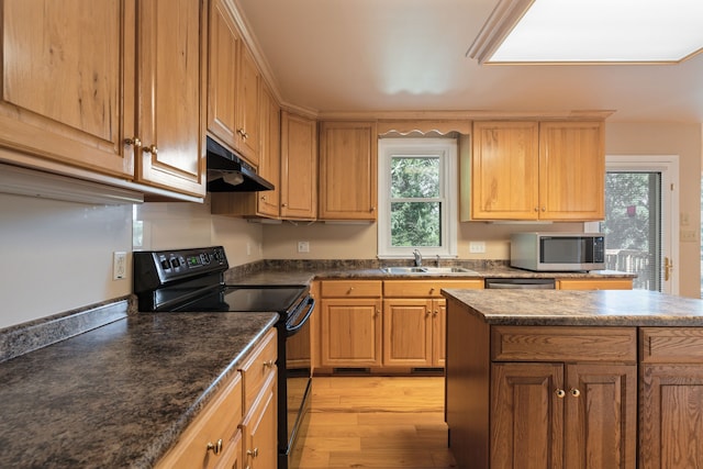 kitchen with black range with electric cooktop, light wood-type flooring, sink, and a kitchen island