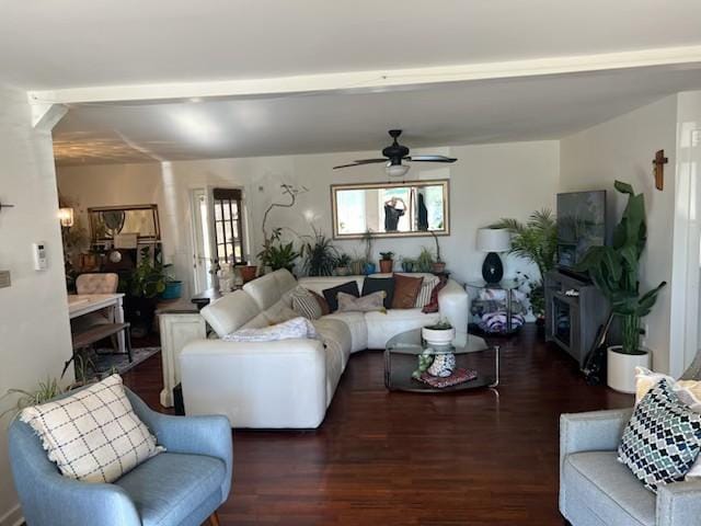 living room with ceiling fan and dark hardwood / wood-style floors